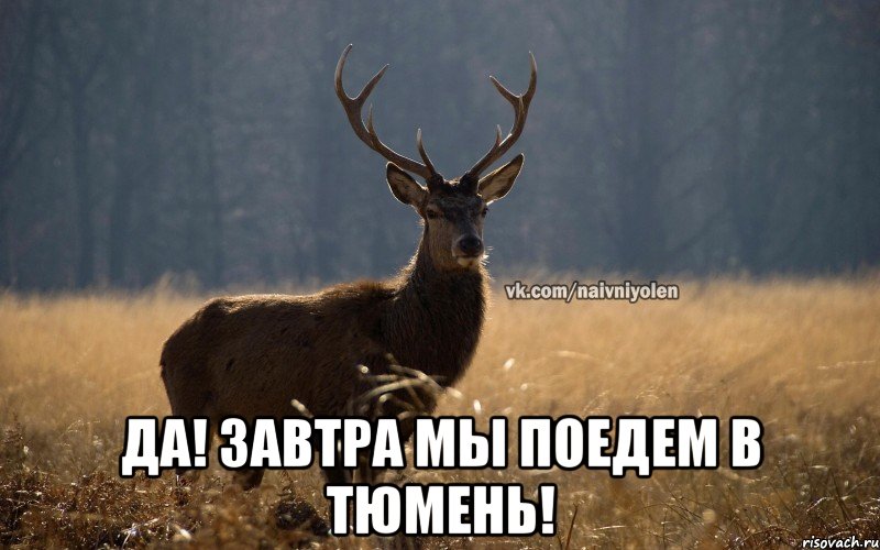  ДА! ЗАВТРА МЫ ПОЕДЕМ В ТЮМЕНЬ!