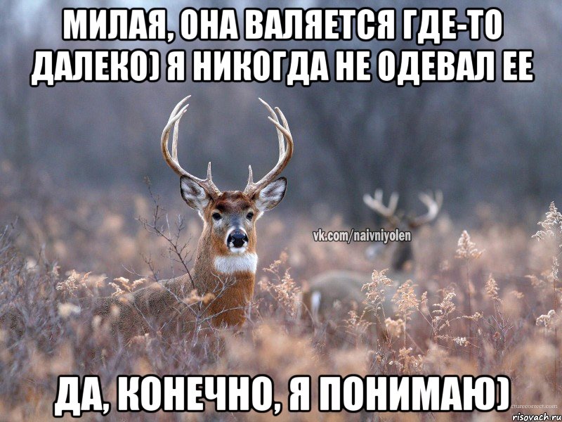 Милая, она валяется где-то далеко) Я никогда не одевал ее Да, конечно, я понимаю), Мем   Наивный олень