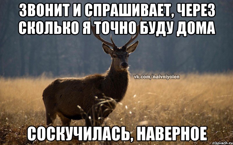 Звонит и спрашивает, через сколько я точно буду дома Соскучилась, наверное, Мем Наивный Олень vk2