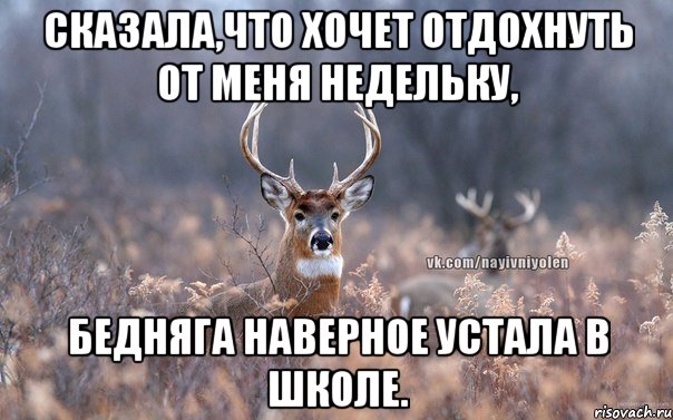 сказала,что хочет отдохнуть от меня недельку, бедняга наверное устала в школе., Мем   Наивный олень