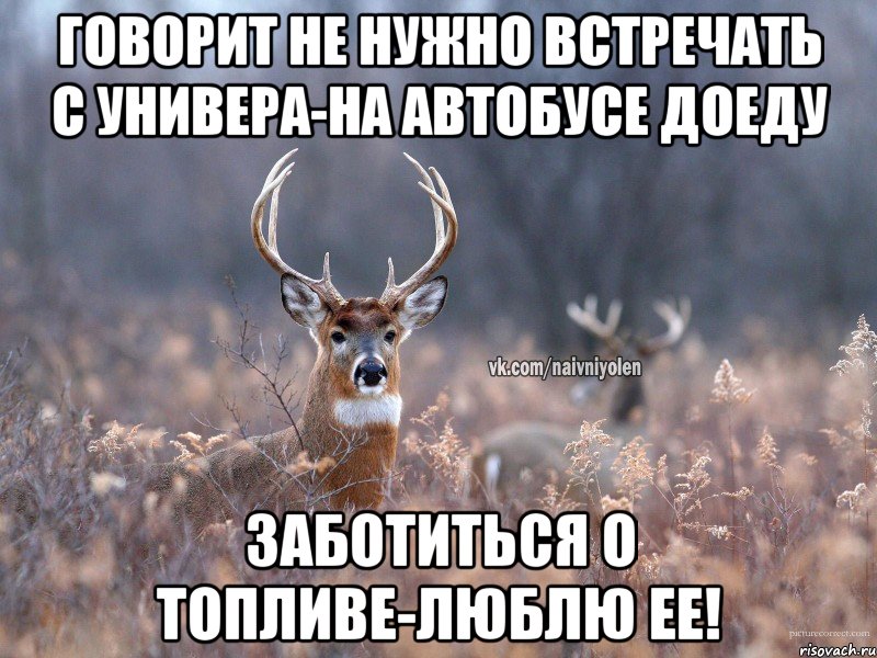 Говорит не нужно встречать с универа-на автобусе доеду Заботиться о топливе-люблю ее!, Мем   Наивный олень