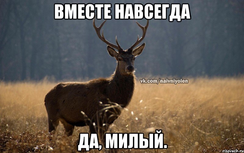 Вместе навсегда Да, милый.