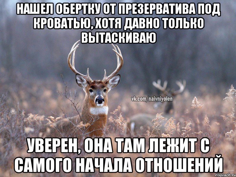 Нашел обертку от презерватива под кроватью, хотя давно только вытаскиваю Уверен, она там лежит с самого начала отношений, Мем   Наивный олень