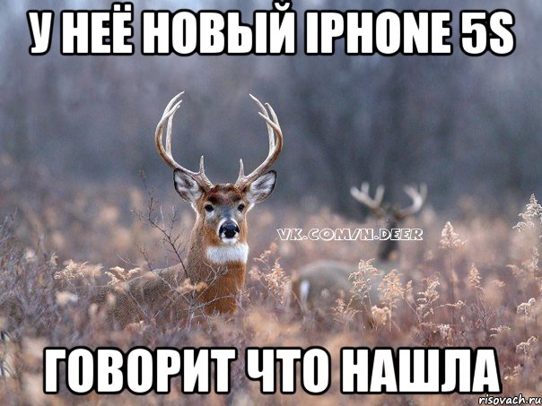 у неё новый iphone 5s говорит что нашла