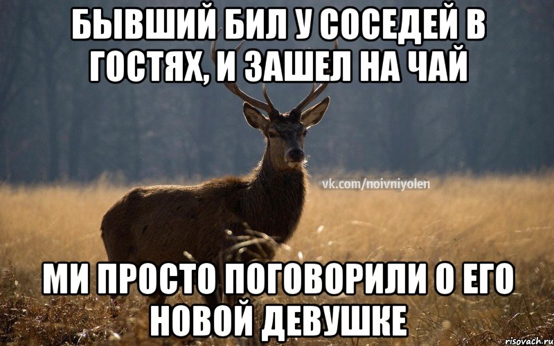 Бывший бил у соседей в гостях, и зашел на чай ми просто поговорили о его новой девушке, Мем Наивный Олень vk2