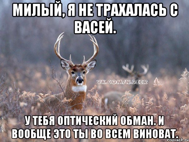 Милый, я не трахалась с Васей. У тебя оптический обман. И вообще это ты во всем виноват., Мем   Наивный олень