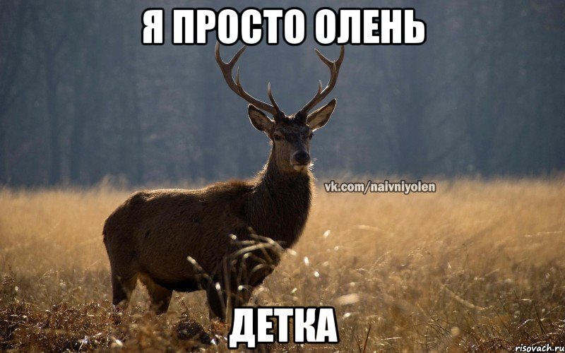 Я просто олень детка