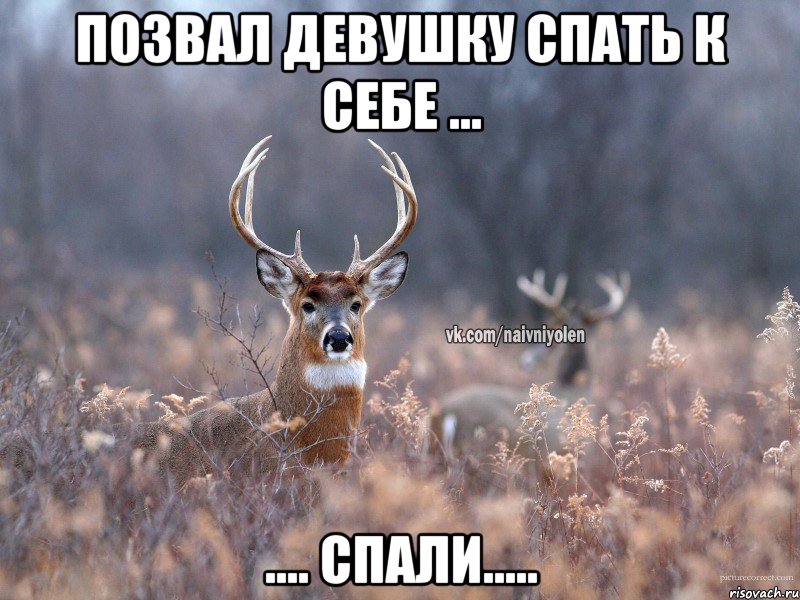 ПОЗВАЛ ДЕВУШКУ СПАТЬ К СЕБЕ ... .... СПАЛИ.....