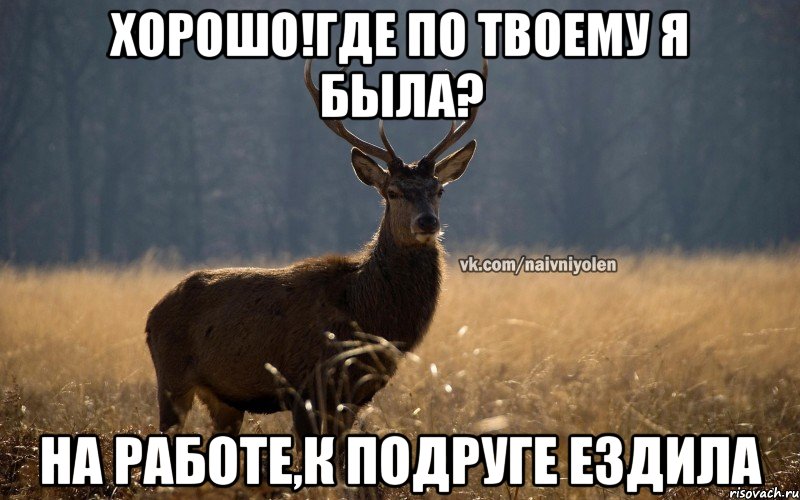 Хорошо!Где по твоему я была? На работе,к подруге ездила, Мем Наивный Олень vk2