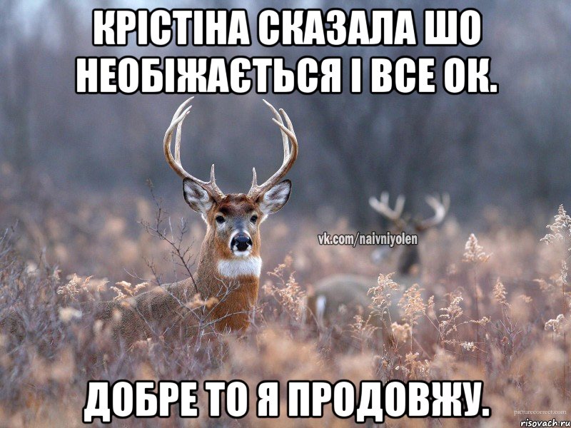 Крістіна сказала шо необіжається і все ок. Добре то я продовжу., Мем   Наивный олень