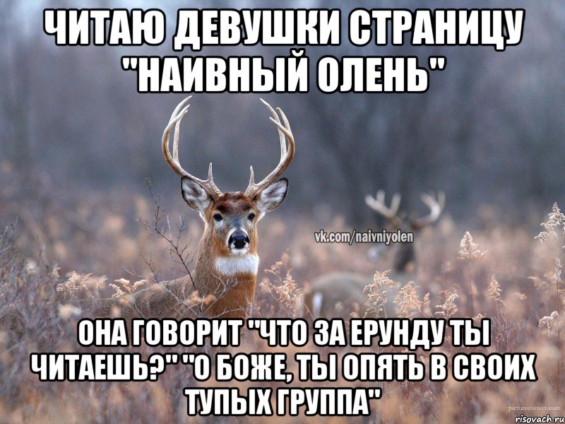 читаю девушки страницу "Наивный Олень" она говорит "Что за ерунду ты читаешь?" "О боже, ты опять в своих тупых группа", Мем   Наивный олень