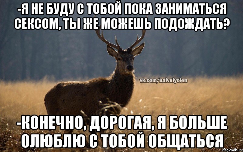 -я не буду с тобой пока заниматься сексом, ты же можешь подождать? -конечно, дорогая, я больше олюблю с тобой общаться, Мем Наивный Олень vk2