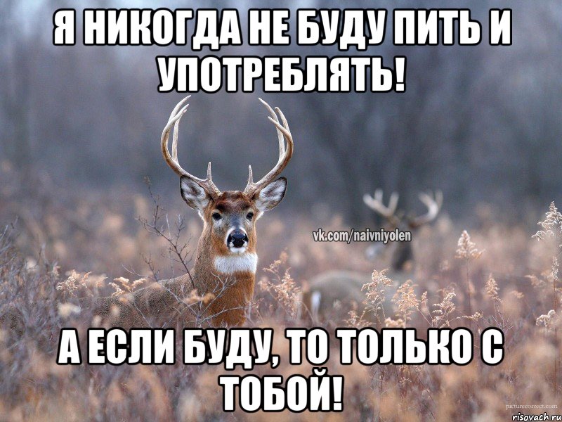 Я никогда не буду пить и употреблять! А если буду, то только с тобой!