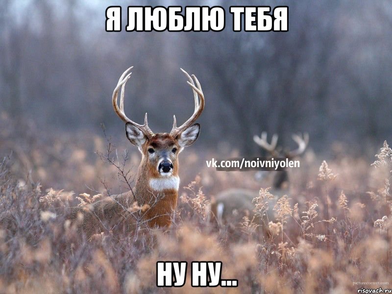 я люблю тебя ну ну..., Мем Наивный Олень vk