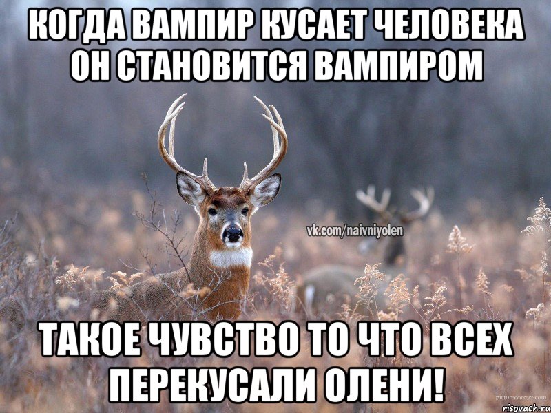 Когда вампир кусает человека он становится вампиром Такое чувство то что всех перекусали олени!, Мем   Наивный олень