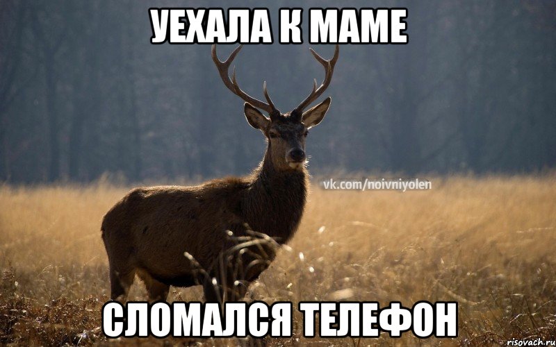 уехала к маме сломался телефон