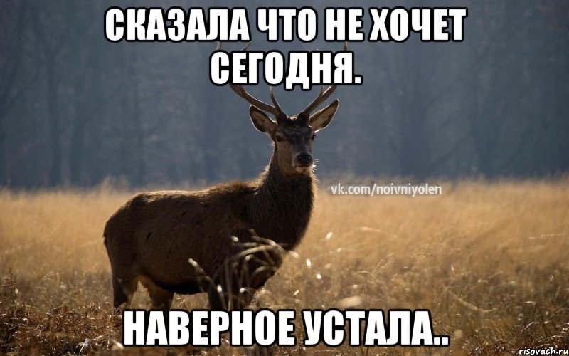 Сказала что не хочет сегодня. Наверное устала..