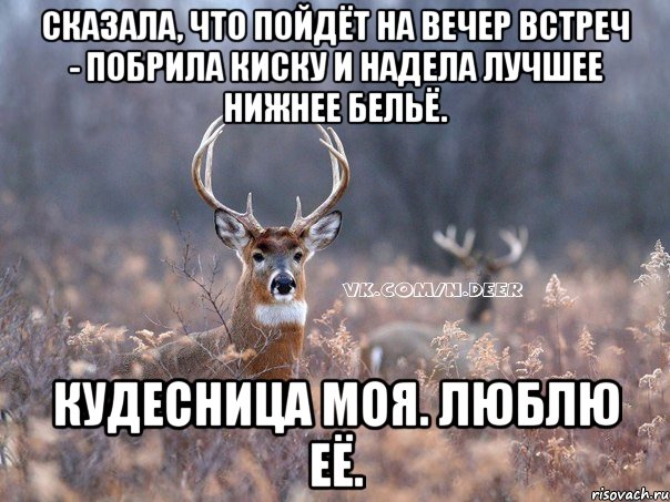 Сказала, что пойдёт на вечер встреч - побрила киску и надела лучшее нижнее бельё. Кудесница моя. Люблю её., Мем   Наивный олень