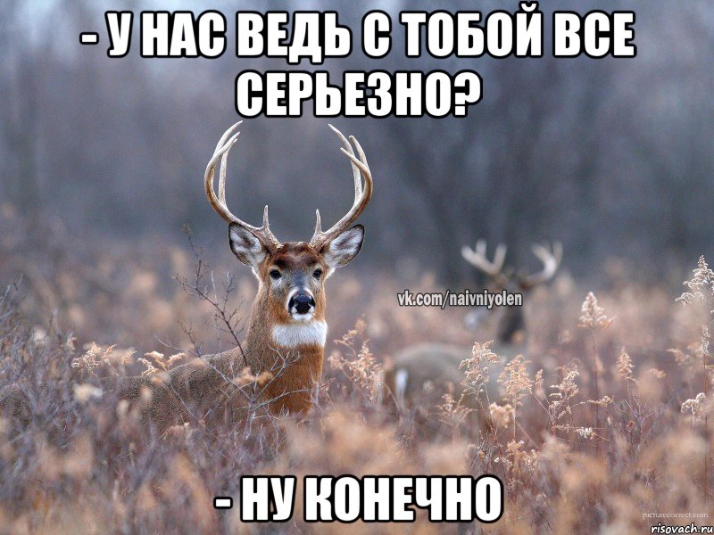 - у нас ведь с тобой все серьезно? - ну конечно