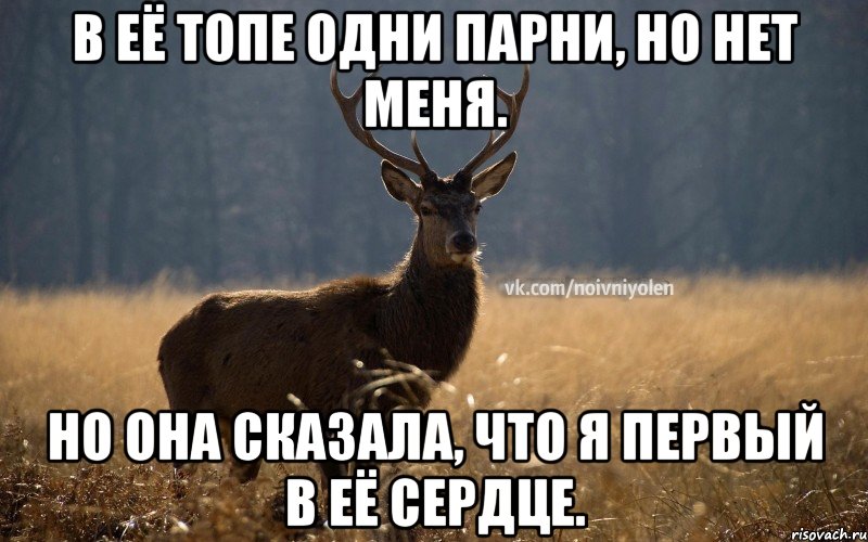 В её топе одни парни, но нет меня. Но она сказала, что я первый в её сердце., Мем Наивный Олень vk2