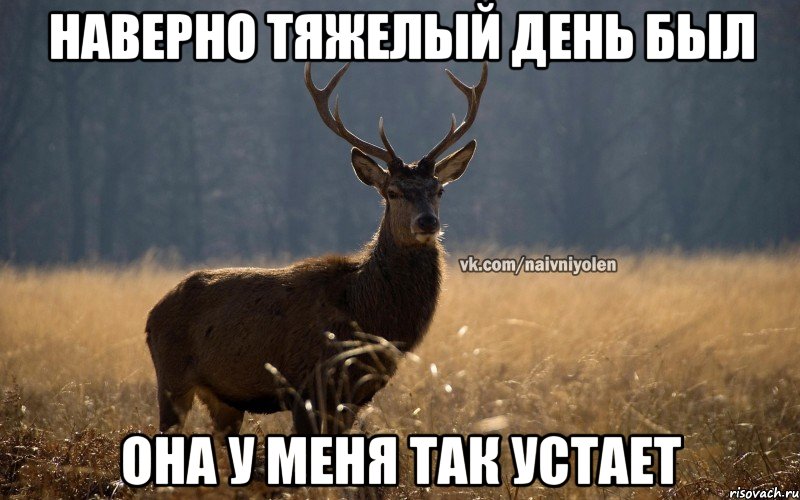 наверно тяжелый день был она у меня так устает, Мем Наивный Олень vk2