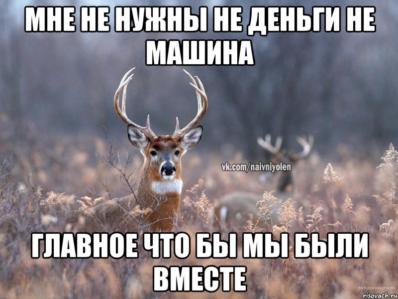 мне не нужны не деньги не машина главное что бы мы были вместе, Мем   Наивный олень