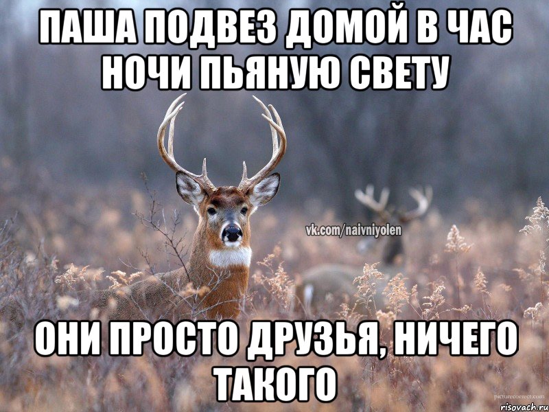 Паша подвез домой в час ночи пьяную Свету Они просто друзья, ничего такого, Мем   Наивный олень