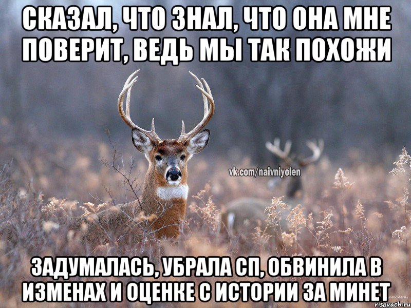 сказал, что знал, что она мне поверит, ведь мы так похожи задумалась, убрала сп, обвинила в изменах и оценке с истории за минет, Мем   Наивный олень