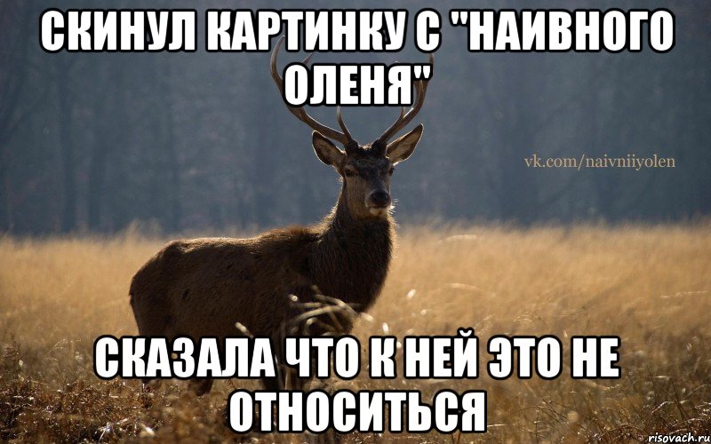 Скинул картинку с "Наивного Оленя" Сказала что к ней это не относиться, Мем Наивный Олень vk2