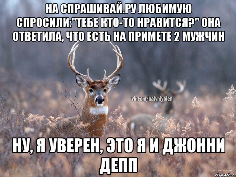 На Спрашивай.ру любимую спросили:"Тебе кто-то нравится?" Она ответила, что есть на примете 2 мужчин Ну, я уверен, это Я и Джонни Депп, Мем   Наивный олень