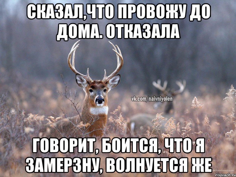 Сказал,что провожу до дома. Отказала Говорит, боится, что я замерзну, волнуется же, Мем   Наивный олень