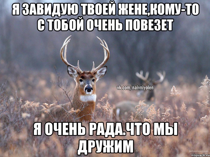 я завидую твоей жене,кому-то с тобой очень повезет я очень рада.что мы дружим, Мем   Наивный олень