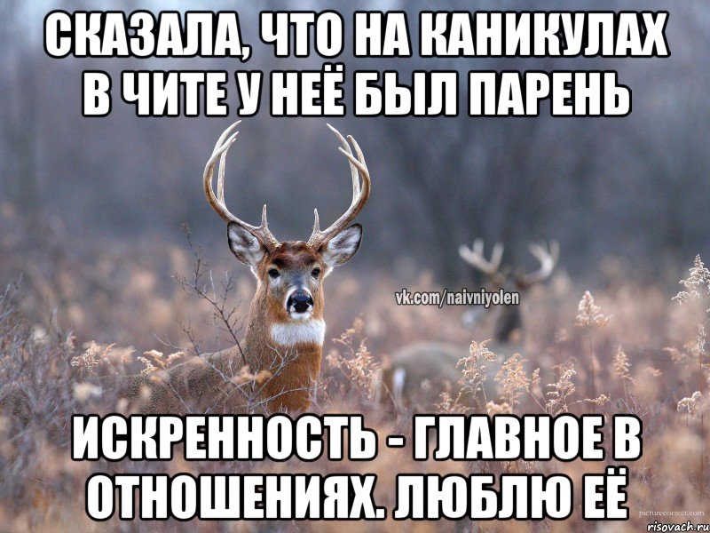 Сказала, что на каникулах в Чите у неё был парень Искренность - главное в отношениях. Люблю её, Мем   Наивный олень