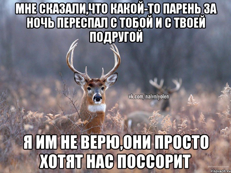 мне сказали,что какой-то парень за ночь переспал с тобой и с твоей подругой я им не верю,они просто хотят нас поссорит, Мем   Наивный олень