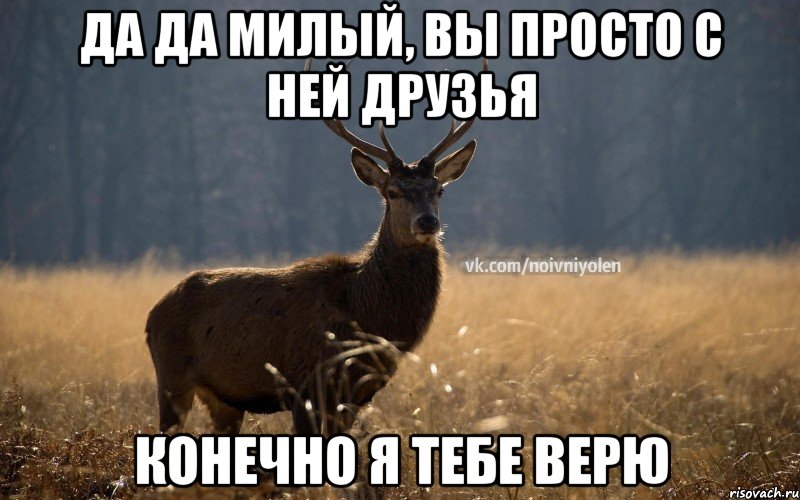 Да да милый, вы просто с ней друзья конечно я тебе верю