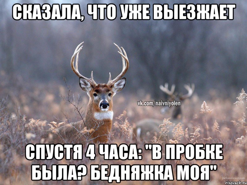 СКАЗАЛА, ЧТО УЖЕ ВЫЕЗЖАЕТ СПУСТЯ 4 ЧАСА: "В ПРОБКЕ БЫЛА? БЕДНЯЖКА МОЯ", Мем   Наивный олень