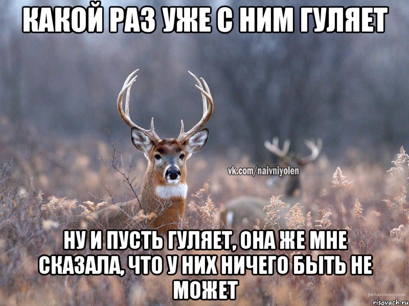 какой раз уже с ним гуляет ну и пусть гуляет, она же мне сказала, что у них ничего быть не может, Мем   Наивный олень