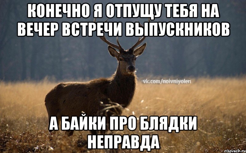 Конечно я отпущу тебя на вечер встречи выпускников А байки про блядки неправда, Мем Наивный Олень vk2