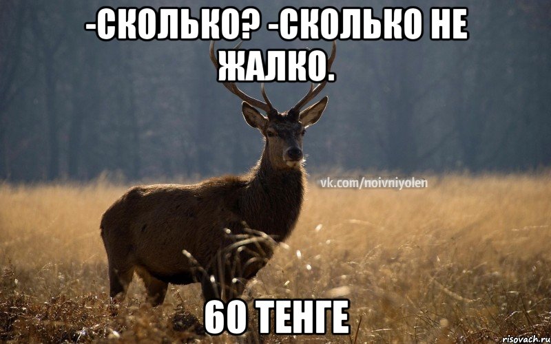 -Сколько? -Сколько не жалко. 60 тенге