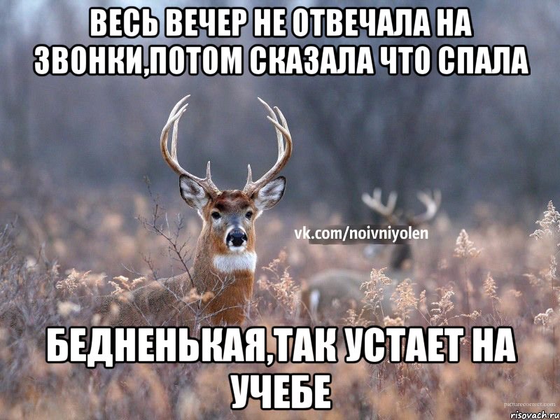 весь вечер не отвечала на звонки,потом сказала что спала бедненькая,так устает на учебе