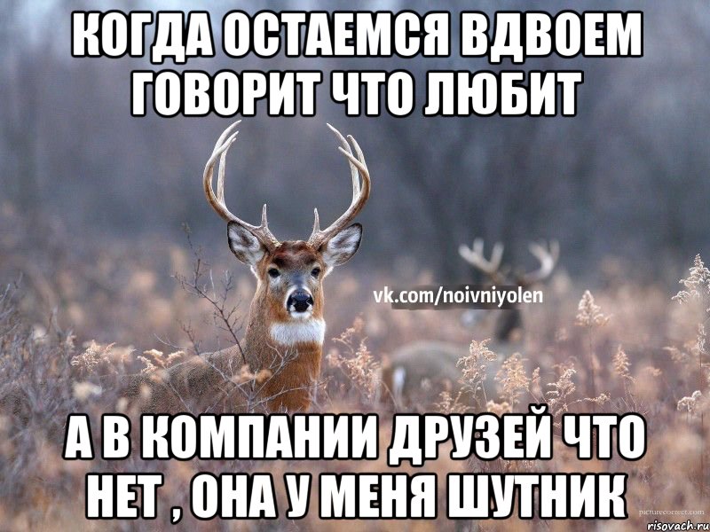 когда остаемся вдвоем говорит что любит а в компании друзей что нет , она у меня шутник, Мем Наивный Олень vk