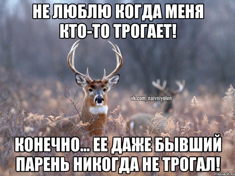 Не люблю когда меня кто-то трогает! Конечно... Ее даже бывший парень никогда не трогал!, Мем   Наивный олень