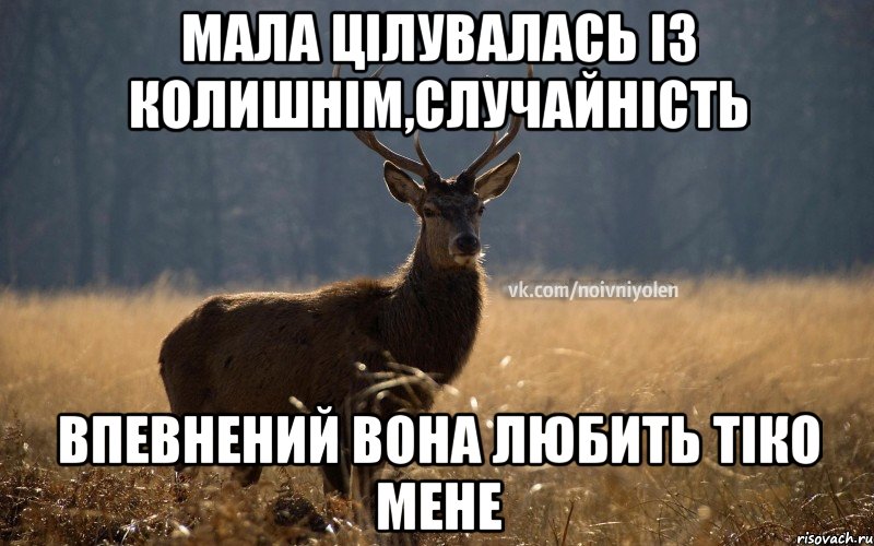 мала цілувалась із колишнім,случайність впевнений вона любить тіко мене, Мем Наивный Олень vk2