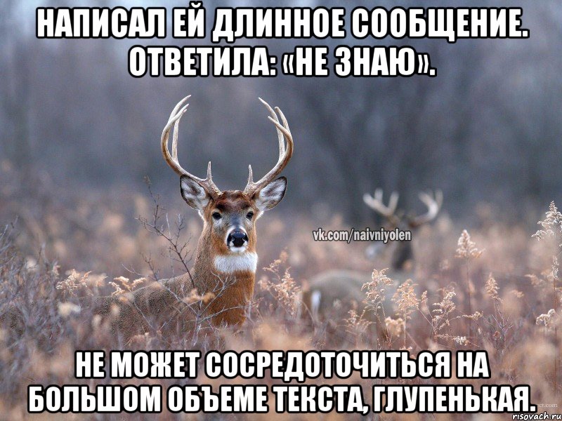 Написал ей длинное сообщение. Ответила: «не знаю». Не может сосредоточиться на большом объеме текста, глупенькая., Мем   Наивный олень