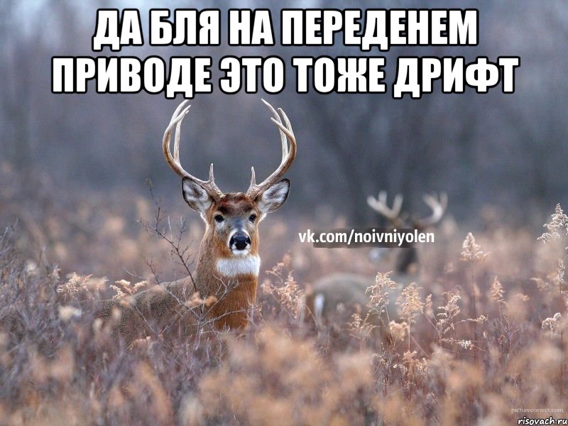 Да бля на переденем приводе это тоже дрифт , Мем Наивный Олень vk