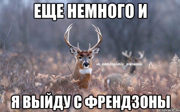 еще немного и я выйду с френдзоны