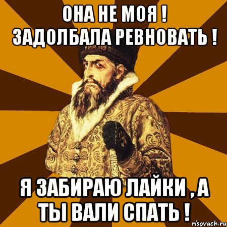 она не моя ! задолбала ревновать ! я забираю лайки , а ты вали спать !, Мем Не царское это дело