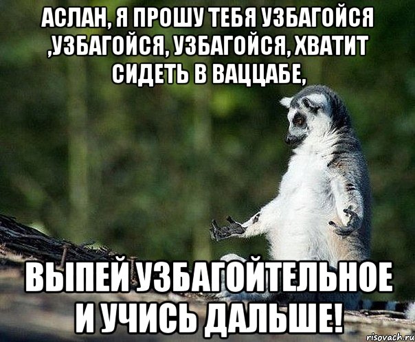 Аслан, я прошу тебя узбагойся ,узбагойся, узбагойся, хватит сидеть в ваццабе, Выпей узбагойтельное и учись дальше!, Мем не узбагоюсь