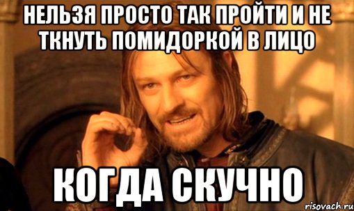 нельзя просто так пройти и не ткнуть помидоркой в лицо когда скучно, Мем Нельзя просто так взять и (Боромир мем)