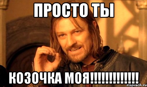 просто ты козочка моя!!!!!!!!!!!!!, Мем Нельзя просто так взять и (Боромир мем)